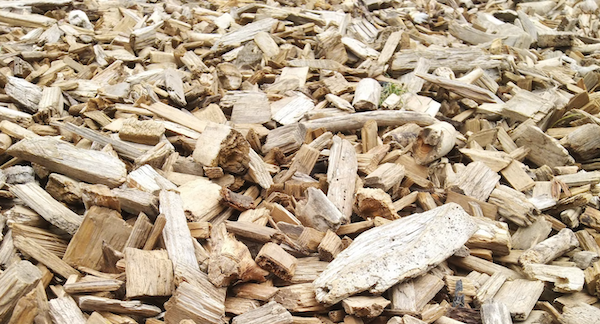 Unprocessed Wood Chips